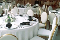 WhatsApp-Image-2024-05-15-at-15.31.23_e18cd228-Copy